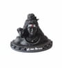 Black Mahadev ji statue Idol