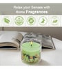 Mahogany Apple Glass Candle (Green)