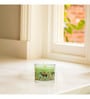 Mahogany Apple Glass Candle (Green)