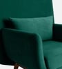 Majismo Sheesham Wood Arm Chair In Green Color