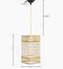 Malan Gold Crystal Hanging Light