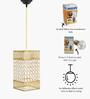 Malan Gold Crystal Hanging Light