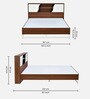 Malcom Meta Queen Size Bed in Walnut Finish