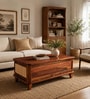 Malmo Sheesham Wood Trunk In Honey Oak  Finish