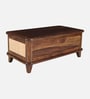 Malmo Sheesham Wood Trunk In Provential Teak Finish