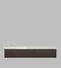 Maltein Queen Size Bed in Wenge & White Finish with Box Storage