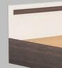 Maltein Queen Size Bed in Wenge & White Finish with Box Storage