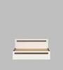 Maltein Queen Size Bed in Wenge & White Finish with Box Storage