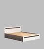 Maltein Queen Size Bed in Wenge & White Finish with Box Storage