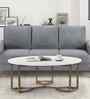 Luxe Coffee Table in White and Gold Colour