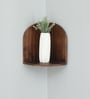 Mango Wood Corner Wall Shelf In Walnut Finish