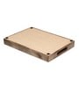 Mango Wood Rectangle Serving Tray