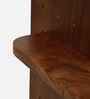Mango Wood Sliding Door Dressing Wall Mirror in Tubbaq Finish