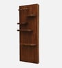 Mango Wood Sliding Door Dressing Wall Mirror in Tubbaq Finish