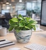 Marble Finish Ceramic Planter Pot