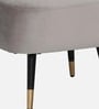 Mariana Velvet Lounge Chair In Ash Grey Color With Foot Stool