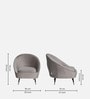 Mariana Velvet Lounge Chair In Ash Grey Color With Foot Stool