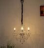 Marie 3 Arms Metal and Crystal Chandelier