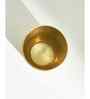 Marigold Brass Tumbler