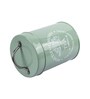 Green Mild Steel 850ml Tea Storage Jar