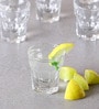Marocco 50ml (Set of 6) Shot Glass