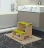 Maroon Apricot Kids Stool in Green Colour