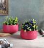 Maroon Bowl Textured Planters Set of 2