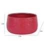 Maroon Bowl Textured Planters Set of 2