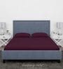 Purple Cotton Solid Finest 300TC Plain Super King Bedsheet with 2 Pillow Covers