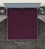 Purple Cotton Solid Finest 300TC Plain Super King Bedsheet with 2 Pillow Covers