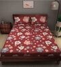 Maroon Floral 180 TC Cotton Queen Sized Bed Sheets with 2 Pillow Covers