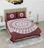 Brown Traditional 120 TC Cotton Queen Sized Bedsheet with 2 Pillow Cover