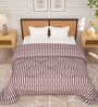 Maroon Microfiber Stripes 180 GSM Fusion Reversible Double Comforter