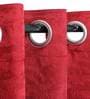 Maroon Polyester Semisheer 5 Feet Eyelet Curtain
