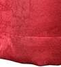 Maroon Polyester Semisheer 5 Feet Eyelet Curtain