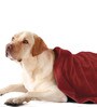 Maroon Solid 450 GSM Microfiber Pet Towel (S)