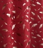 Maroon Velvet Feather 9Ft Ring Top Long Door Curtains Pack of  2