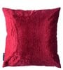 Maroon Velvet Solid 16x16 inches Cushion Cover (5Pc)