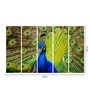 Green Wood Multiple Frames Beautiful Peacock Art Panels