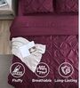 Marquis Pinch Pleat Plum AC Comforter Single Size With 1 Pillow Cover