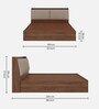 Mars Queen Size Bed In Columbian Walnut Colour With Box Storage