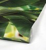 Green Non Woven Fabric Banana Tree Wallpaper
