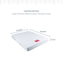 Marvel Queen Bed Bonnell Spring Mattress 78x72x6 Inch