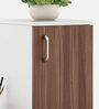 Masa Writing Table In White & Oak Finish