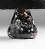 Masala Chai Pebble Granite Stool In Black Finish