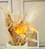 Matcha Muse Sculpted Vase