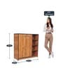Matchbox 2 Door Shoe Cabinet in Teak Colour