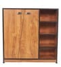 Matchbox 2 Door Shoe Cabinet in Teak Colour