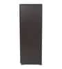 Matchbox 2 Door Shoe Cabinet in Wenge Colour