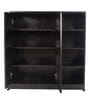 Matchbox 2 Door Shoe Cabinet in Wenge Colour
